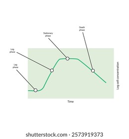 Diagram of bacterial growth curve - lag, log, stationary and death phase - simple schematic illustration.