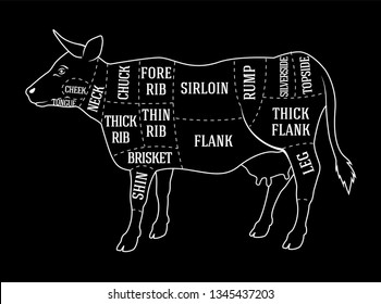 Diagram butcher guide for cutting beef in chalk style