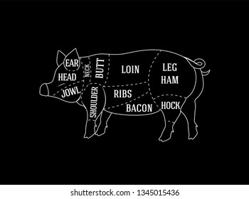 Diagram Butcher Guide Cutting Pork Chalk Stock Vector (Royalty Free ...