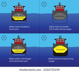 Diagram of the cargo ship's ballast tanks, how it works