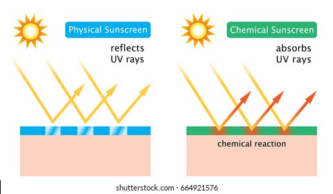 diagram of chemical sunscreen and physical sunscreen