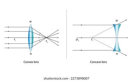 diagram of concave and convex lenses