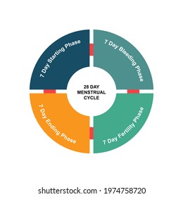 Diagram concept with 28 Day Menstrual Cycle text and keywords. EPS 10 isolated on white background