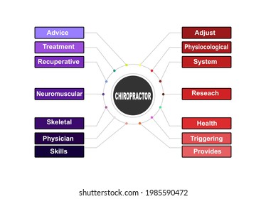 Diagram concept with Chiropractor text and keywords. EPS 10 isolated on white background