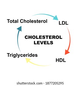 343 Total Cholesterol Images, Stock Photos & Vectors | Shutterstock