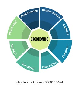 Diagram concept with Ergonomics text and keywords. EPS 10 isolated on white background