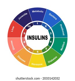 Diagram concept with Insulin text and keywords. EPS 10 isolated on white background