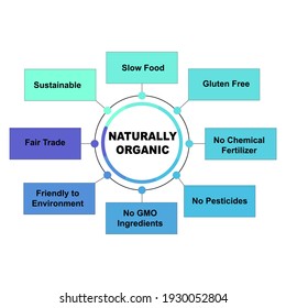 Concepto de diagrama con texto y palabras clave de Naturally Organic. EPS 10 aislado en fondo blanco