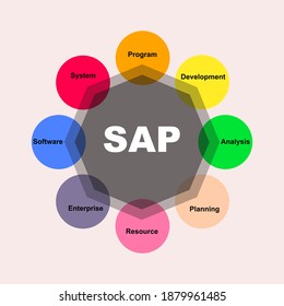 Diagram concept with SAP text and keywords. EPS 10 isolated on pink background