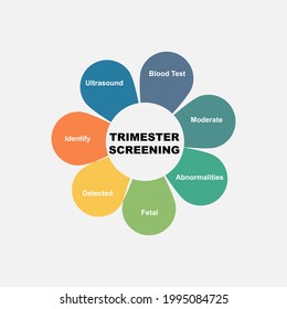 Diagram concept with Trimester Screening text and keywords. EPS 10 isolated on white background