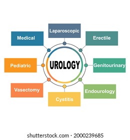 Diagram concept with Urology text and keywords. EPS 10 isolated on white background