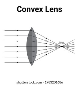 diagram of convex lens or converging lens