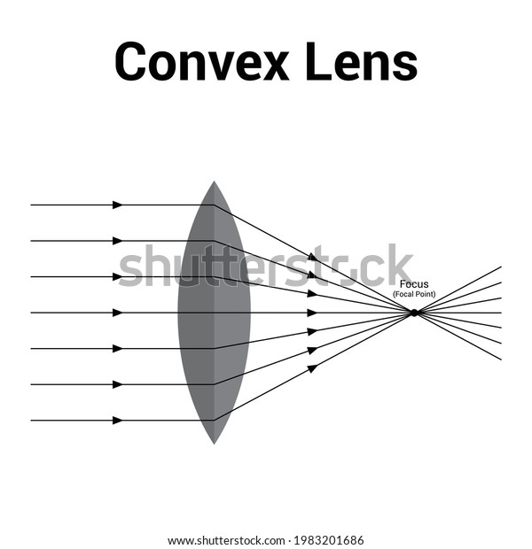 diagram of convex lens\
or converging lens