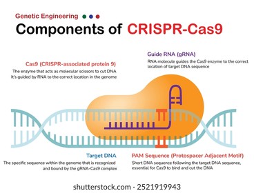 Diagrama de los componentes de ingeniería genética de CRISPR-Cas9, incluido Cas9, ARN guía, ADN objetivo y secuencia PAM