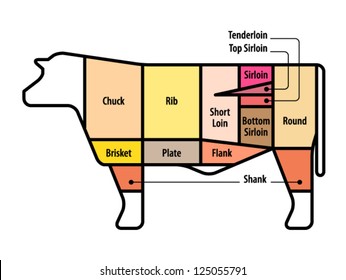 Diagram Cuts Beef Us Stock Vector (Royalty Free) 125055791 | Shutterstock