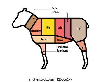 Diagram: cuts of lamb. US.