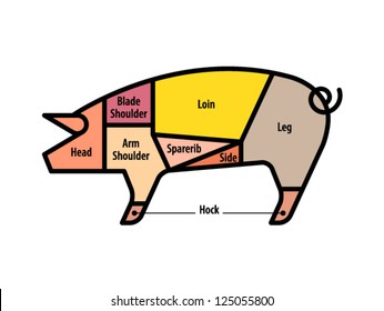 Diagram Cuts Pork Us Stock Vector (Royalty Free) 125055800 | Shutterstock