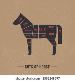 The diagram of cutting a horse made in a vector in a flat vintage style against the background of old paper and a signature at the bottom of an isolated illustration.