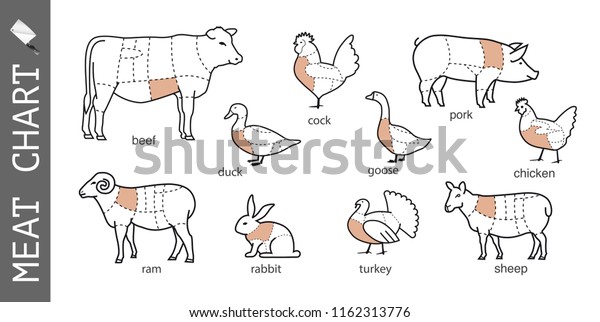 Diagram Cutting Meat Set Vector Signs Stock Vector Royalty Free 1162313776 