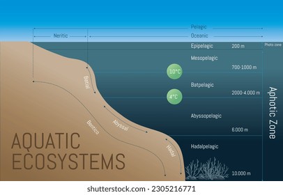  Diagram with description of water bodies layers. Geological division.