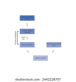 Diagram of drug first pass metabolism process - oral drug administration, intestinal mucosal metabolism, hepatic metabolism and systemic circulation vs. parenteral drug administration. 