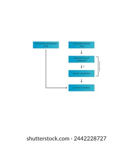 Diagram of drug first pass metabolism process - oral drug administration, intestinal mucosal metabolism, hepatic metabolism and systemic circulation vs. parenteral drug administration. 