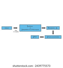 Diagram of drug metabolism inducer process - effect on CYP450 enzymes synthesis, drug metabolism, half life, plasma concentration and pharmacological effect. Simple flow chart illustration.