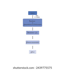 Diagram of drug metabolism inducer process - effect on CYP450 enzymes synthesis, drug metabolism, half life, plasma concentration and pharmacological effect. Simple flow chart illustration.