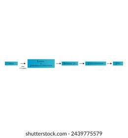 Diagram of drug metabolism inducer process - effect on CYP450 enzymes synthesis, drug metabolism, half life, plasma concentration and pharmacological effect. Simple flow chart illustration.