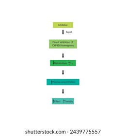 Diagram of drug metabolism inhibitor process - effect on CYP450 enzymes synthesis, drug metabolism, half life, plasma concentration and pharmacological effect. Simple flow chart illustration.