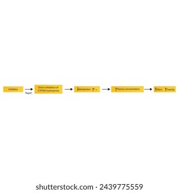 Diagram of drug metabolism inhibitor process - effect on CYP450 enzymes synthesis, drug metabolism, half life, plasma concentration and pharmacological effect. Simple flow chart illustration.