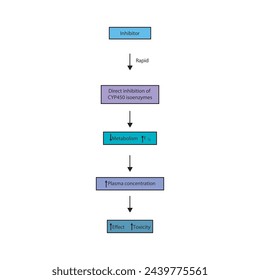 Diagram of drug metabolism inhibitor process - effect on CYP450 enzymes synthesis, drug metabolism, half life, plasma concentration and pharmacological effect. Simple flow chart illustration.