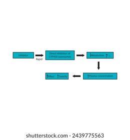 Diagram of drug metabolism inhibitor process - effect on CYP450 enzymes synthesis, drug metabolism, half life, plasma concentration and pharmacological effect. Simple flow chart illustration.