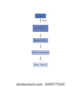 Diagram of drug metabolism inhibitor process - effect on CYP450 enzymes synthesis, drug metabolism, half life, plasma concentration and pharmacological effect. Simple flow chart illustration.