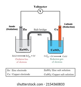 Diagram of a electrochemical cell or Galvanic cell . The Daniell cell experience. Vector illustration.