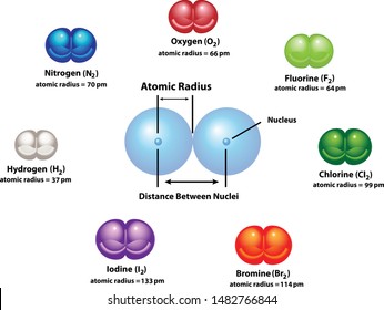 Diagram explaining Atomic Radius using diatomic molecules. Oxygen, hydrogen, nitrogen, fluorine, chlorine, bromine, and iodine. Shows the nucleus and distance between nuclei.