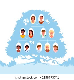 Diagram of family tree generation. Genealogy group members presentation, grandparents and parents, children and grandchildren, people relationships and history vector illustration