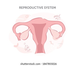 Diagram Of The Female Reproductive System For Books And Booklets. Female Uterus With Ovaries Hand-drawn On A White Background. Health Of Girls And Women. Cartoon Vector Illustration