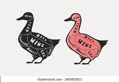 Diagram guide for cutting meat, butcher shop. Duck vector illustration