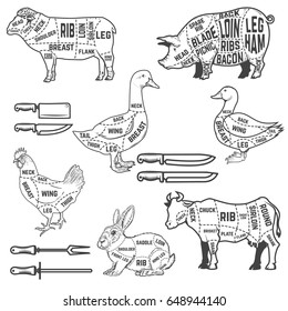 Diagram guide for cutting meat for lamb, goose, pork, cow, rabbit, duck, chicken. Design elements for poster, menu, restaurant flyer. Vector illustration