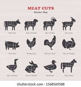 Diagram Guide for Cutting Meat in Vintage Style. Vintage restaurant meat menu template. American scheme of pork cuts, chicken cuts and beef cuts, hand-drawn vector illustration.