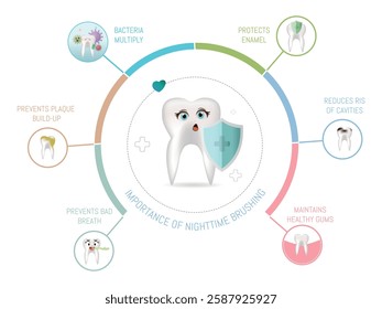 Diagram highlighting the importance of nighttime brushing for oral health, including enamel protection, plaque prevention, and gum maintenance