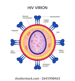 Diagram of HIV virion structure