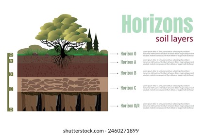 Diagram of horizons and soil layers. The diagram is divided into five sections, each with a different color. The top section is green, and the rest in shades of brown, all on a white background.
