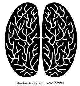 A diagram of the human brain side view, anatomy. Vector illustration in flat design style isolated on white background. Human brain. 