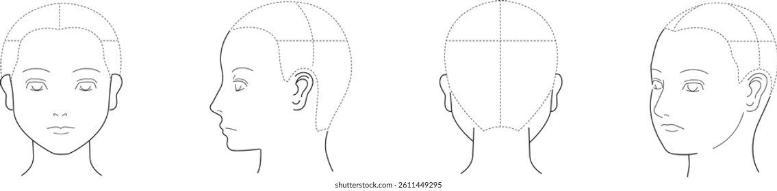 A diagram of a human face from various angles.