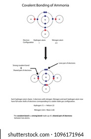 Diagram Illustrate Covalent Bonding Amonia Fully Stock Vector Royalty Free