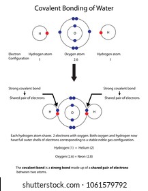 Diagram Illustrate Covalent Bonding Water Fully Stock Vector (Royalty ...