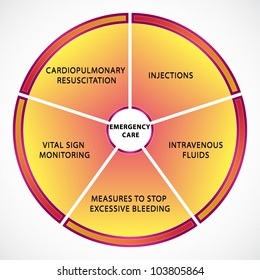 Diagram illustrating different types of emergency care