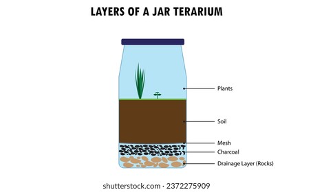 diagram of the layers of a jar terrarium